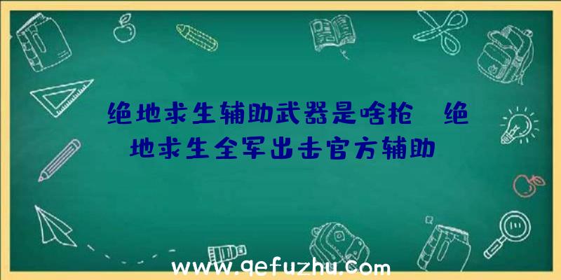 「绝地求生辅助武器是啥枪」|绝地求生全军出击官方辅助